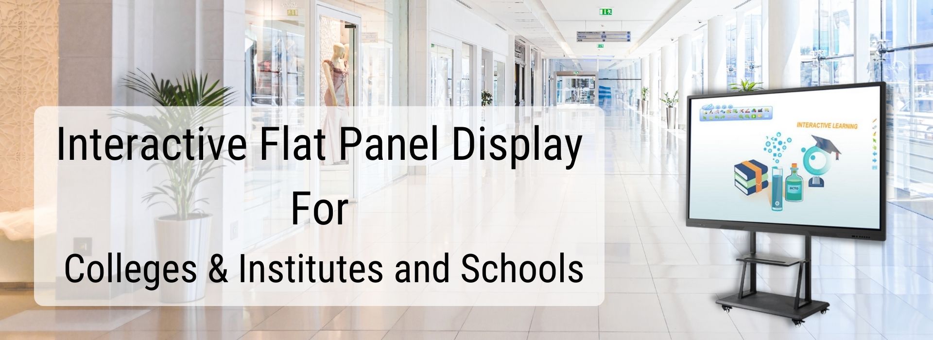 Interactive Flat Panel Display